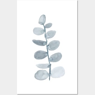 Eucalyptus Branch Posters and Art